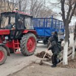 2024 жылы мүгедектігі бар адамдар Әлеуметтік қызметтер порталы арқылы 935 мыңнан астам қызмет алды